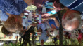 /album/ee-juin-2025-rando-repas-a-st-hippolyte/f-126-jpg/